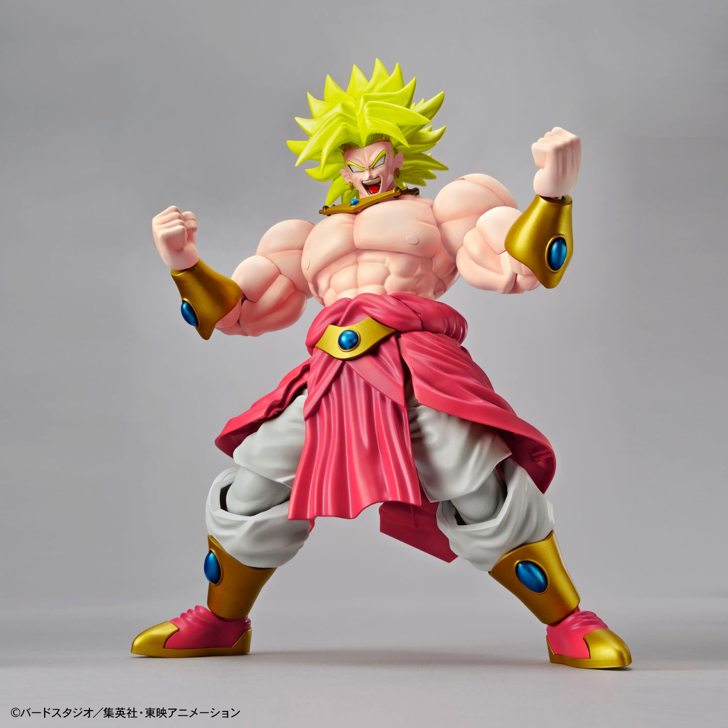 frs-legendary_super_saiyan_broly-4