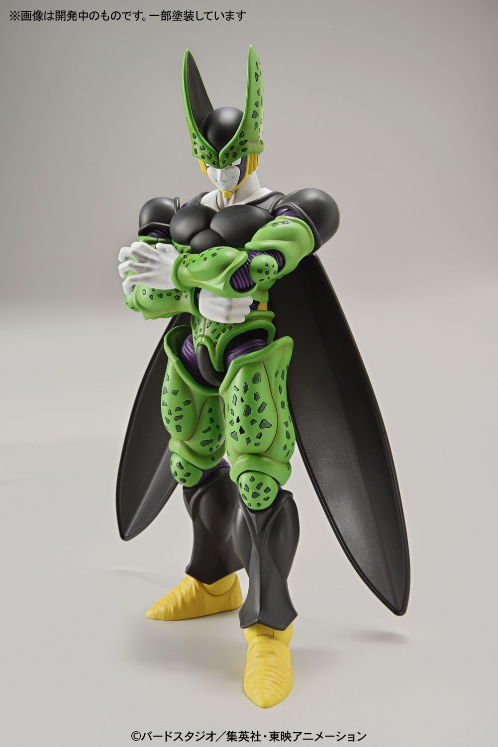 frs-perfect_cell-3