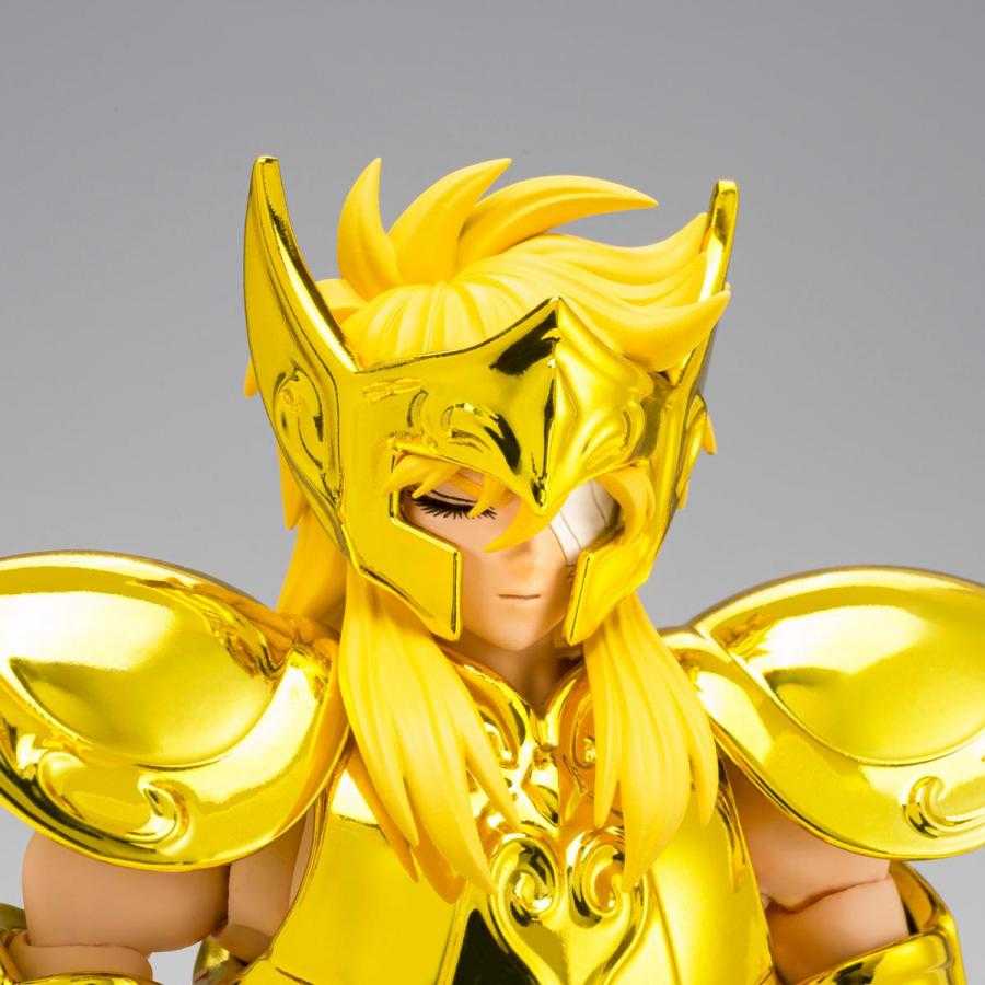 saint-seiya-figurine-aquarius-hyoga-inheritor-of-the-gold-cloth-myth-cloth-ex (9)