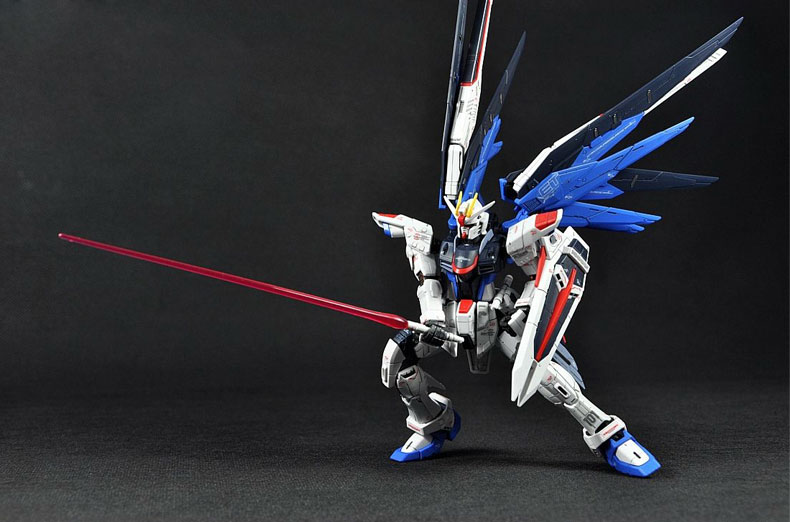 rg-freedom-8