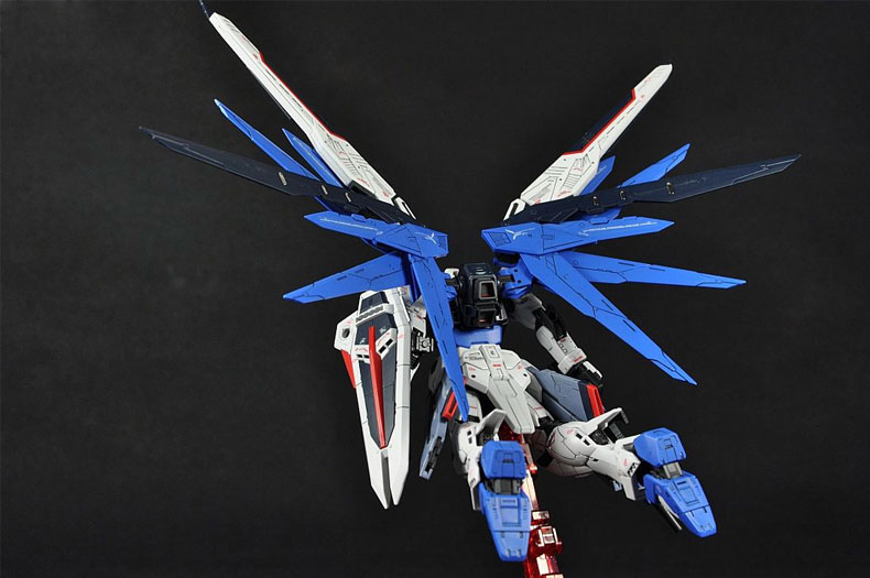 rg-freedom-6