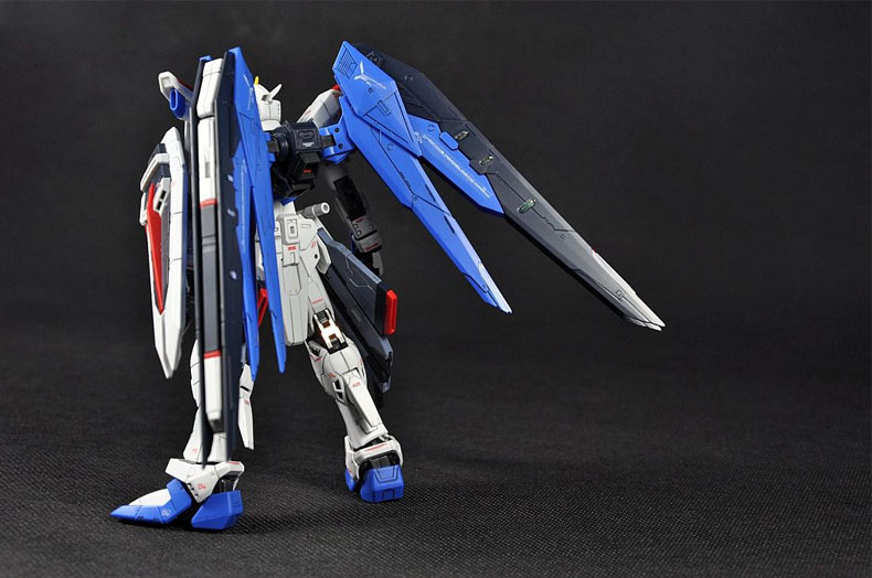rg-freedom-5