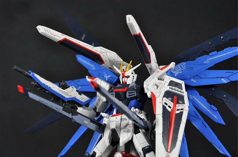 rg-freedom-7