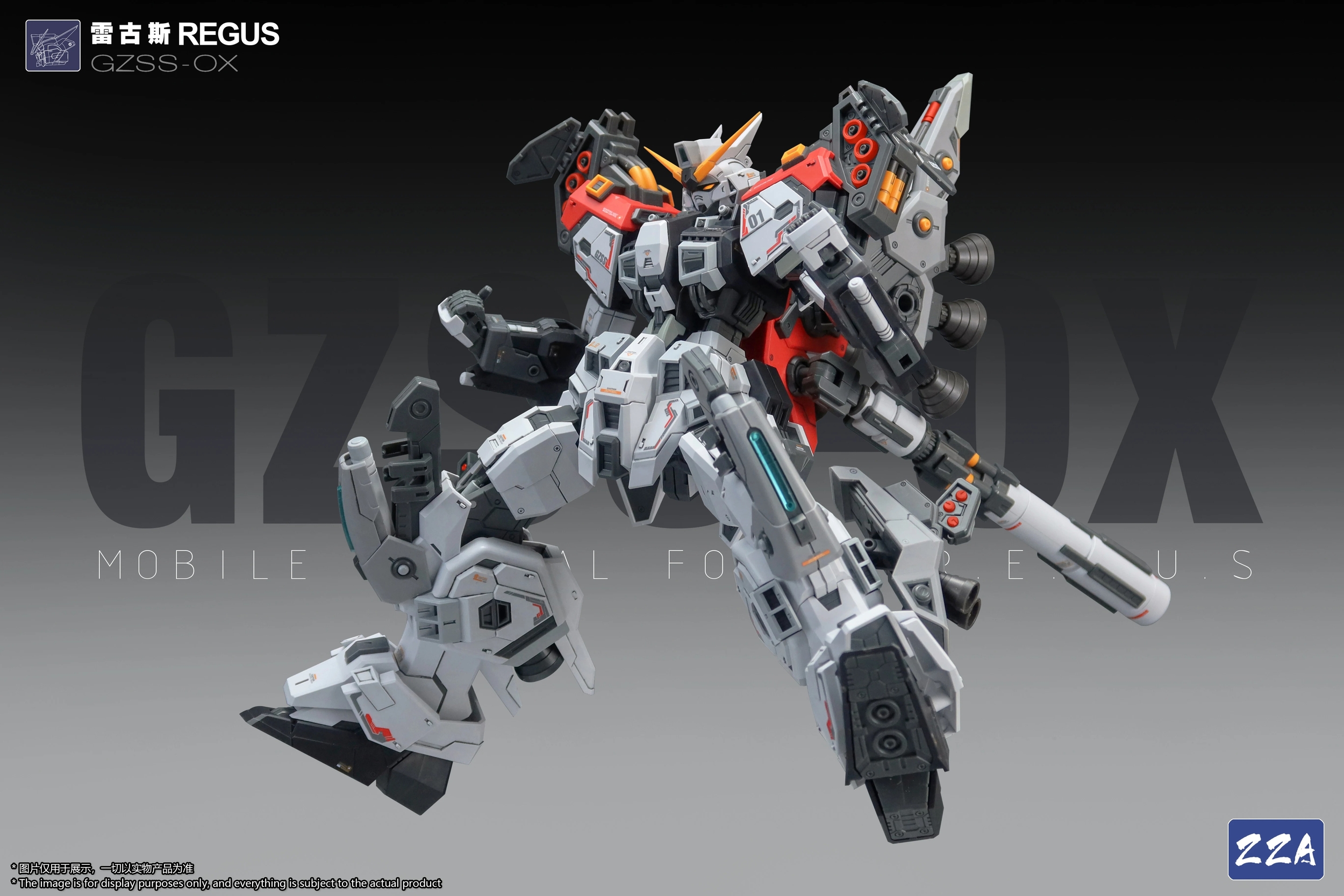 zza-regus-9