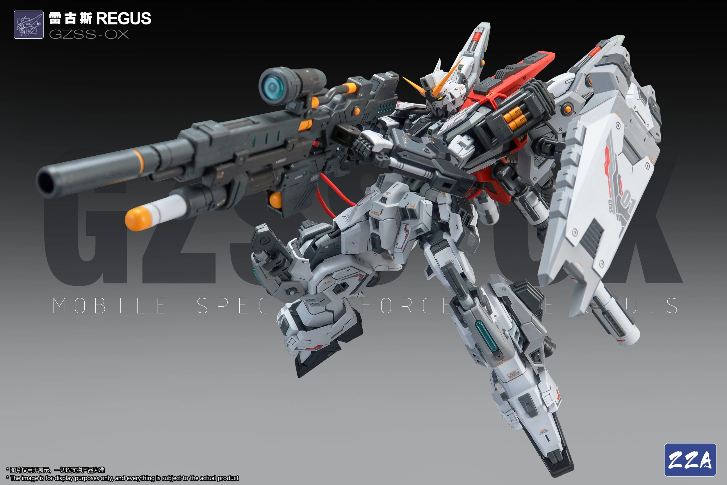 zza-regus-6