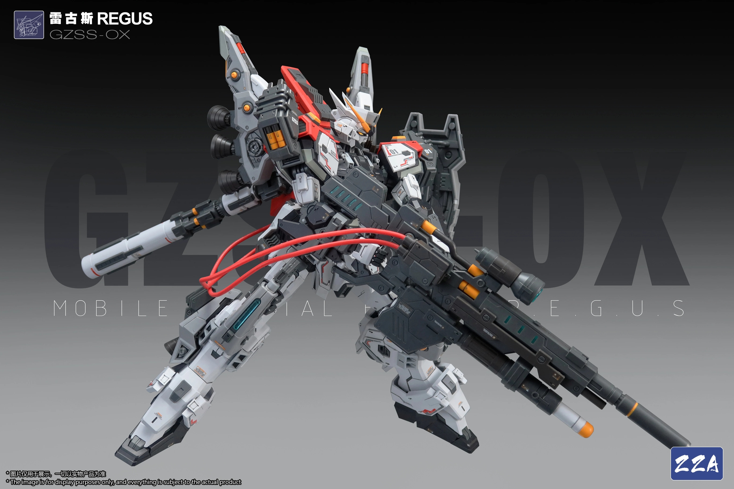 zza-regus-4
