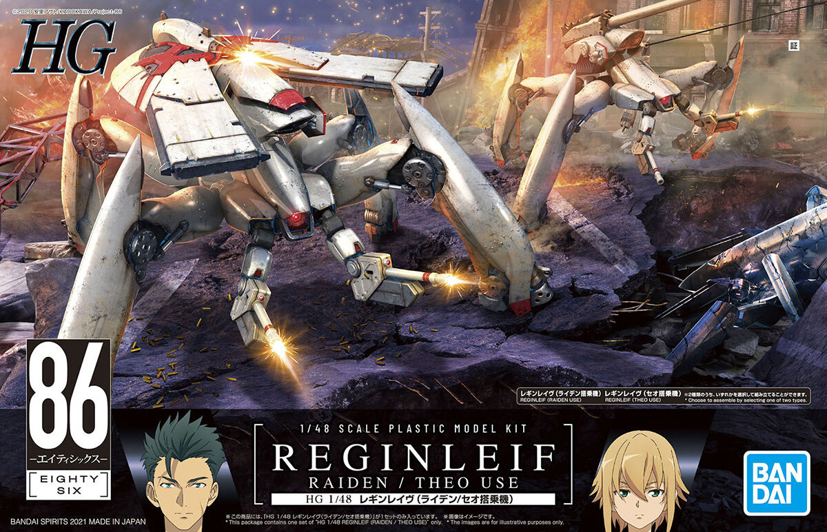 hg-reginleif_raiden_theo_use-boxart