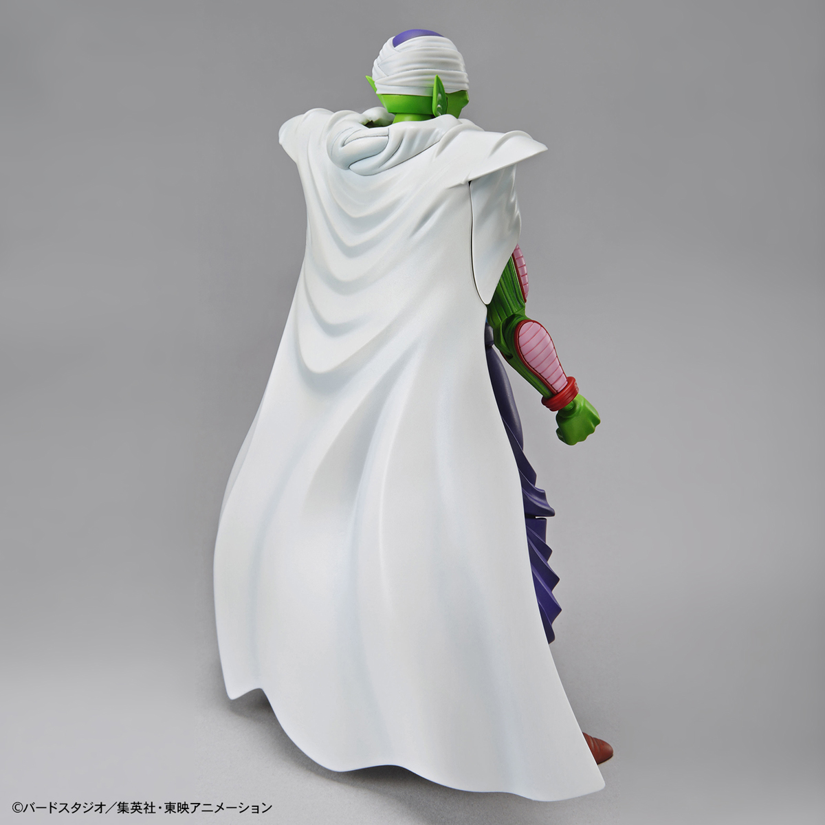 frs-piccolo-2