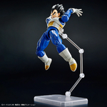 frs-vegeta_new_spec_ver-9