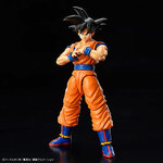 frs-son_goku_new_spec_ver-8