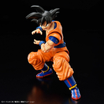 frs-son_goku_new_spec_ver-4