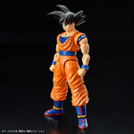 frs-son_goku_new_spec_ver-1
