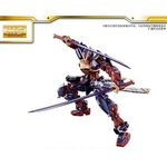 MG Astray red Kai Gundam Cross Contrast 04