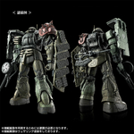 pb-hg-zaku2_f_type_and_unidentified_type_lesean_rfv-6