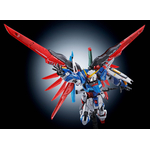 pb-rg-destiny_titanium-6