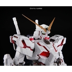 pg-unicorn-9