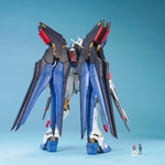 mg-strike_freedom-2