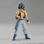 frs-super_saiyan_god_super_saiyan_gogeta-9
