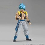 frs-super_saiyan_god_super_saiyan_gogeta-6