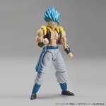 frs-super_saiyan_god_super_saiyan_gogeta-7