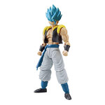 frs-super_saiyan_god_super_saiyan_gogeta