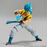 frs-super_saiyan_god_super_saiyan_gogeta-2