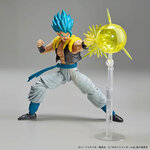 frs-super_saiyan_god_super_saiyan_gogeta-4