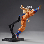 frs-son_goku_ultra_instinct-8