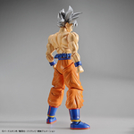 frs-son_goku_ultra_instinct-2
