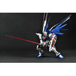 rg-freedom-8
