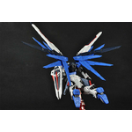 rg-freedom-6