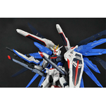 rg-freedom-7