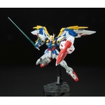 rg-wing-8