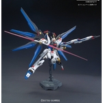 hg201-strike_freedom_revive-7