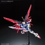 rg-destiny-7