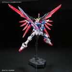 rg-destiny-6