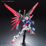 rg-destiny-5