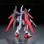 rg-destiny-3