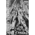 pb-mg-age2_sp_ver-boxart