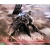 ARMORED-CORE-RAYLEONARD-04-ALICIA-UNSUNG-FULL-PACKAGE-VERSION-1-72__4934054056040