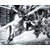 pb-mg-justice_special_coating-boxart