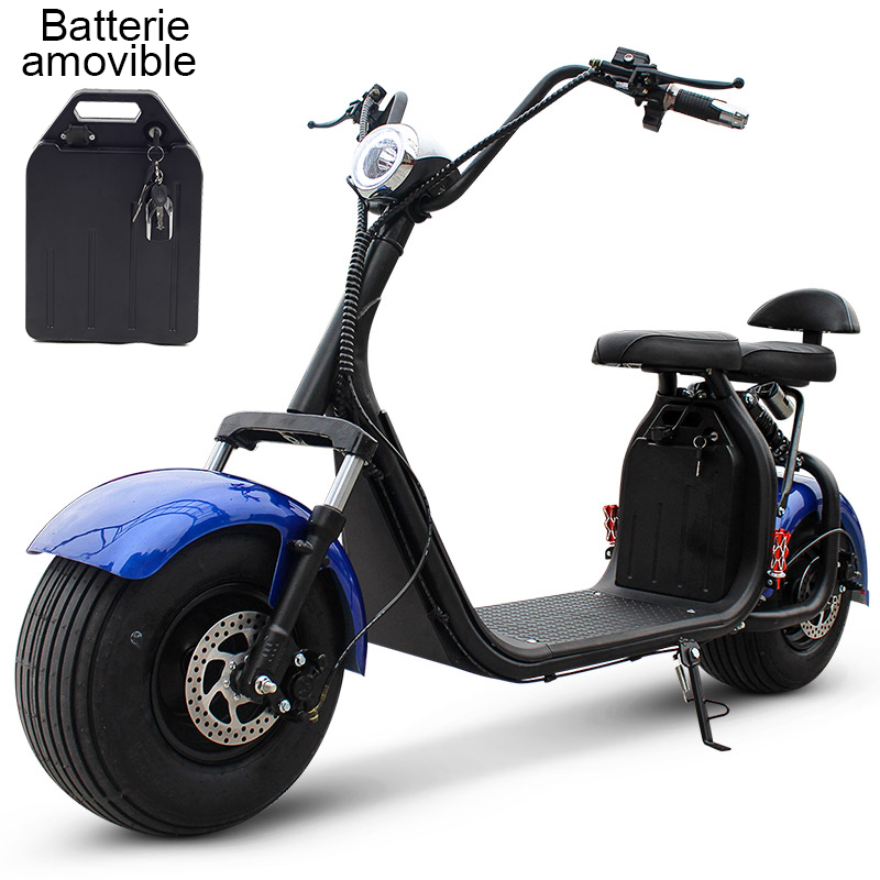 Scooter électrique Bleue avec batterie démontable Scooters Electriques