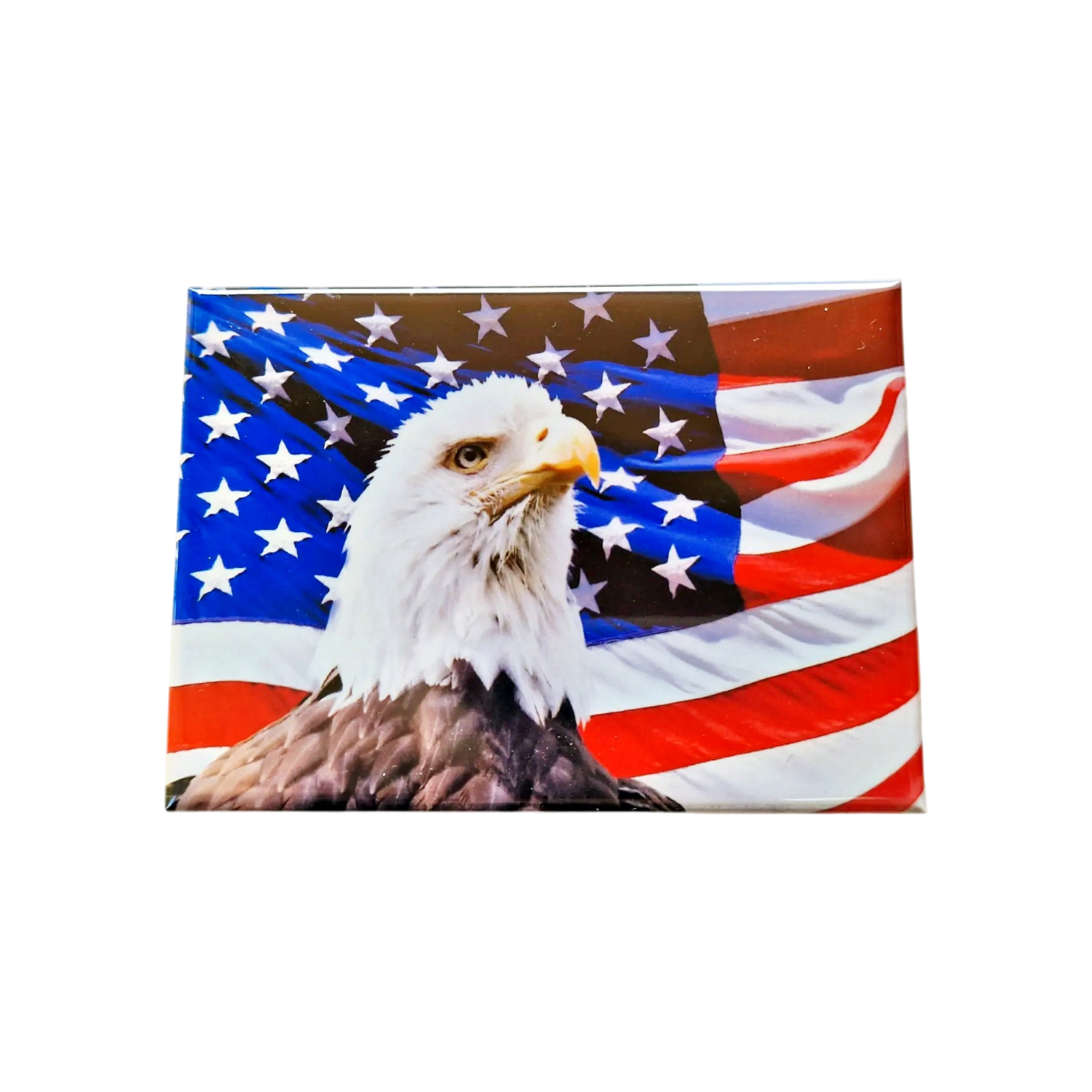 244a2bcc9dcbf1d3bef4ff13a055bc3b
