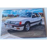205 GTI blanche