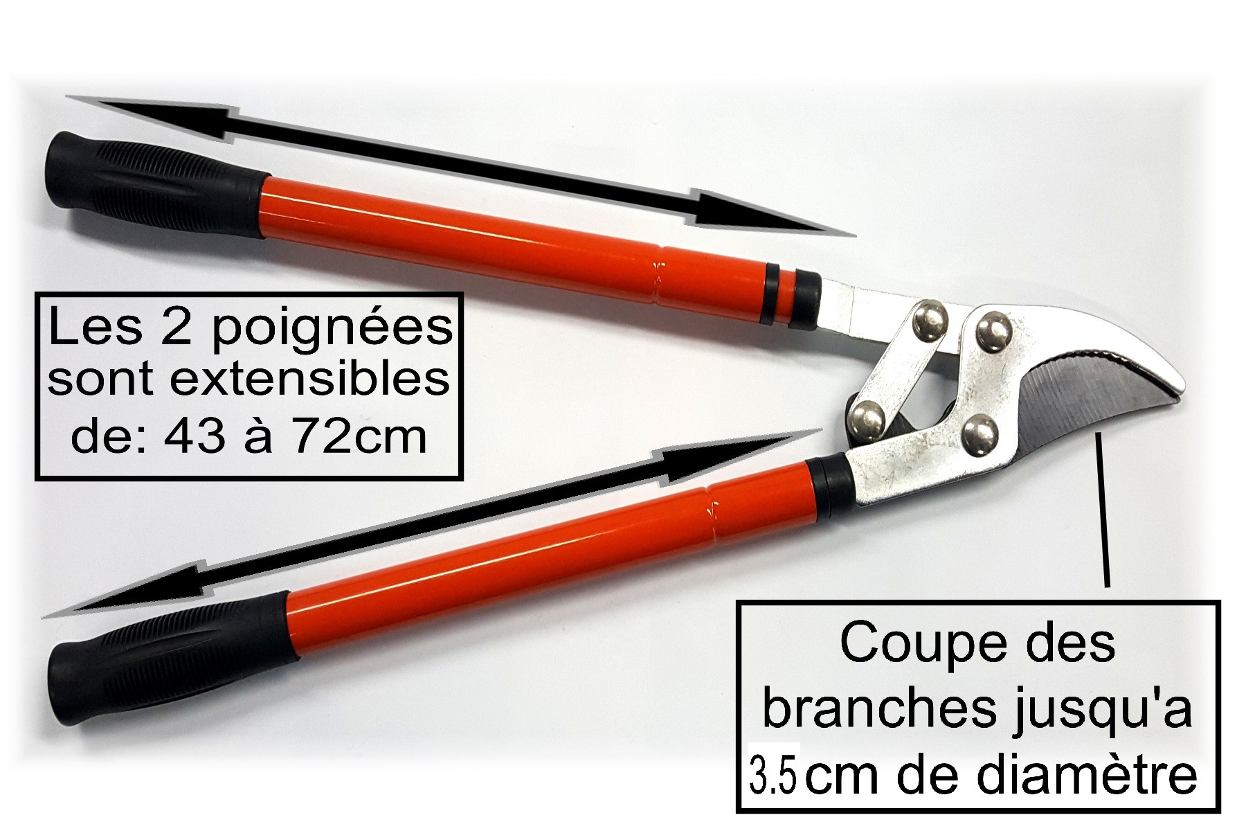 coupe branche3