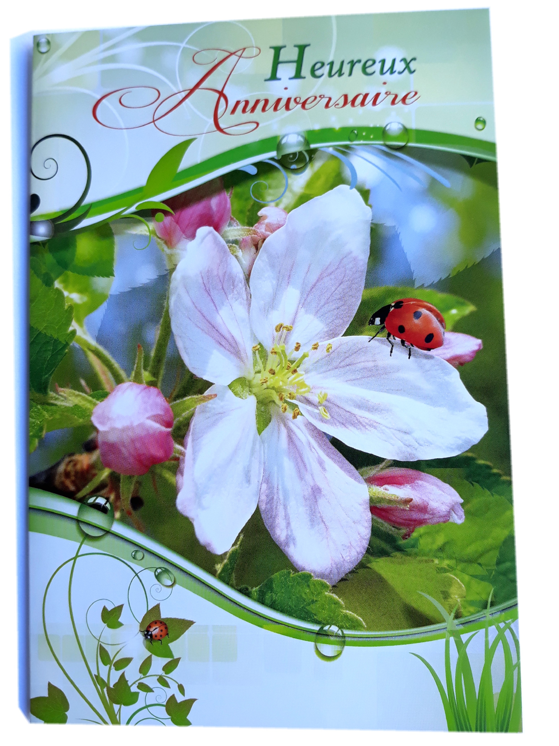 CARTE ANIVERSAIRE2