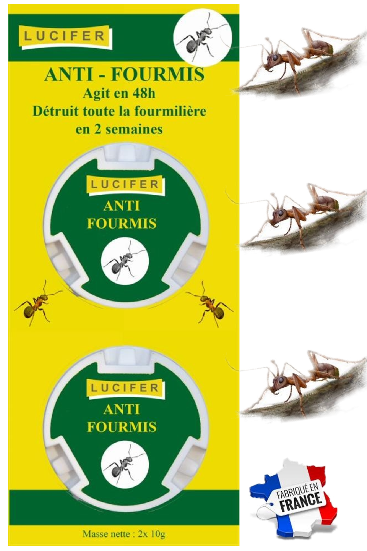 anti-fourmi