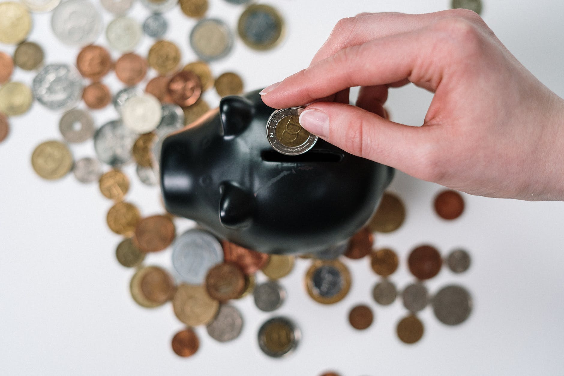 photos gratuites de argent cash centimes