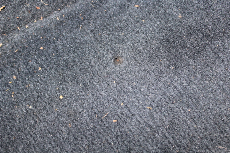 S0005_2