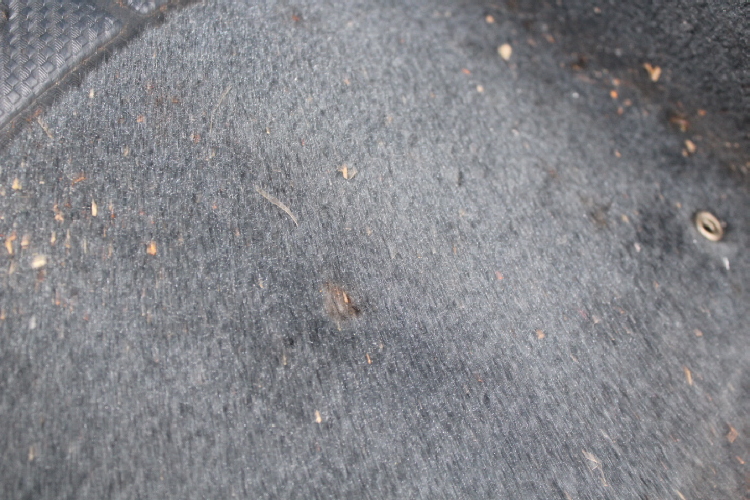 S0008_3